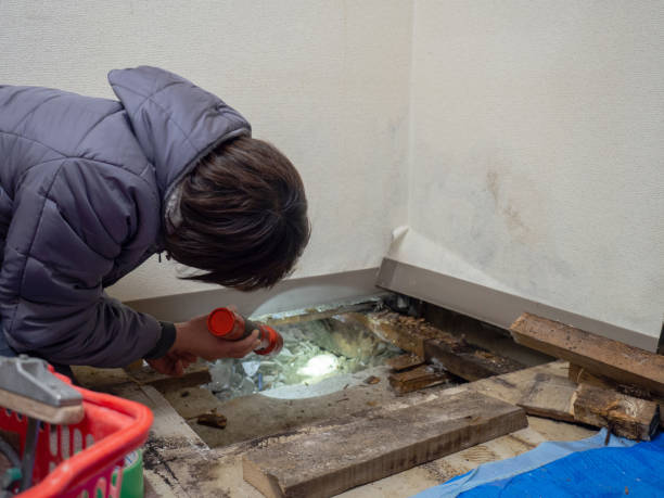 Best Biohazard Mold Removal  in Bay Harbor Islands, FL