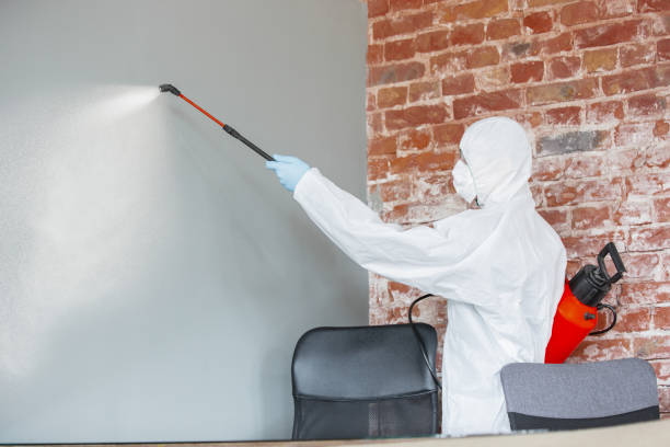 Best Industrial Mold Remediation  in Bay Harbor Islands, FL