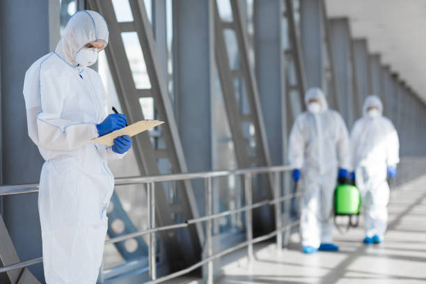 Best Mold Removal for HVAC Installations  in Bay Harbor Islands, FL