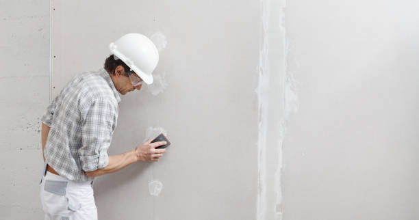 Best Post-Construction Mold Inspection  in Bay Harbor Islands, FL