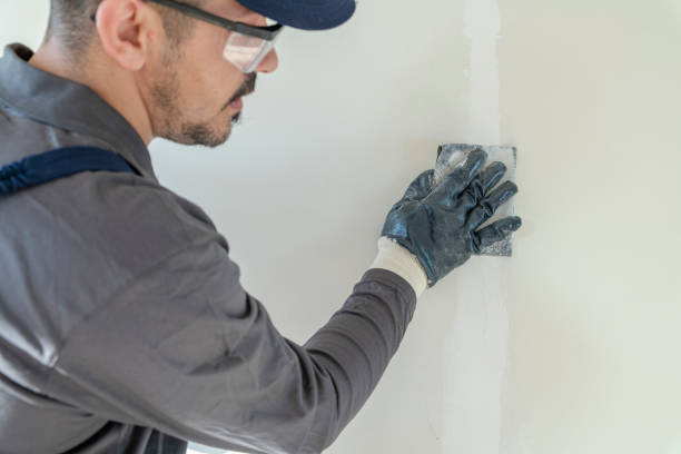 Professional Mold Removal in Bay Harbor Islands, FL